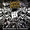 NAPALM DEATH – from enslavement to obliteration (LP Vinyl)