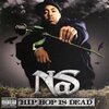NAS – hip hop is dead (CD)