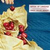 NATION OF LANGUAGE – dance called memory (CD, LP Vinyl)