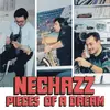 NECHAZZ – pieces of a dream (CD, LP Vinyl)