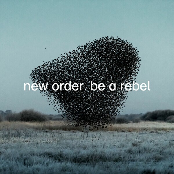 NEW ORDER, be a rebel cover
