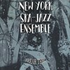 NEW YORK SKA-JAZZ ENSEMBLE – break thru (CD)