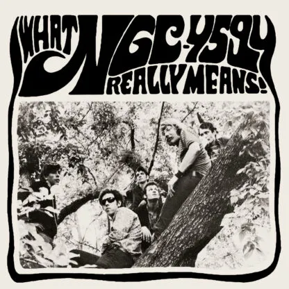 NGC 4594 – what ngc 4594 really means (LP Vinyl)