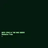 NICK CAVE & BAD SEEDS – skeleton tree (CD, LP Vinyl)