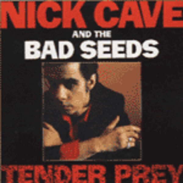 Cover NICK CAVE & BAD SEEDS, tender prey