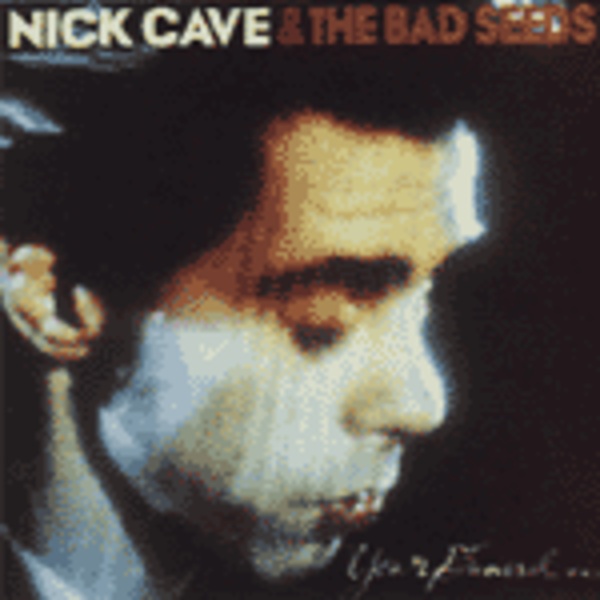 NICK CAVE & BAD SEEDS, your funeral...my trial cover