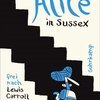 NICOLAS MAHLER – alice in sussex (Papier)