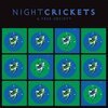 NIGHT CRICKETS – a free society (CD, LP Vinyl)