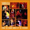 NIRVANA – from the muddy banks of the wishkah (LP Vinyl)
