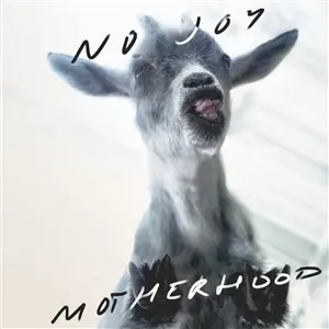 NO JOY – motherhood (CD, LP Vinyl)