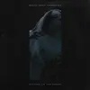 NOISE TRAIL IMMERSION – symbology of shelter (CD, LP Vinyl)