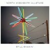 NORTH MISSISSIPPI ALLSTARS – still shakin´ (CD, LP Vinyl)