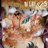 NURSES – apple´s acre (CD, LP Vinyl)