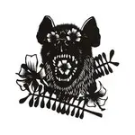 OKKERVIL RIVER – rider (7" Vinyl)