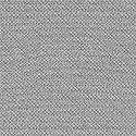 OLAFUR ARNALDS & NILS FRAHM – loon (12" Vinyl)