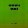 OLIVER – standing stone (LP Vinyl)