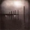 OM – conference of the birds (CD, LP Vinyl)