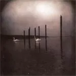 OM – conference of the birds (LP Vinyl)
