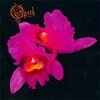 OPETH – orchid (CD)