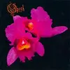 OPETH – orchid (CD)