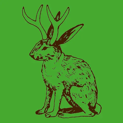 ORANGE BEAT – jackalope (boy), geyser green (Textil)