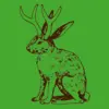 ORANGE BEAT – jackalope (boy), geyser green (Textil)