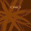 ORBITAL – the brown album (2) (CD, LP Vinyl)