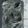 ORCAS – how to color a thousand mistakes (CD, LP Vinyl)