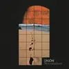 ORGONE – moonshadows (LP Vinyl)