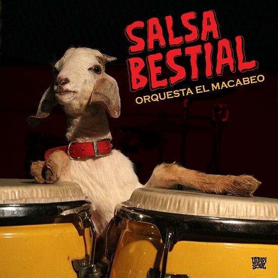 Cover ORQUESTA EL MACABEO, salsa bestial