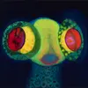 OSEES – sorcs 80 (CD, LP Vinyl)