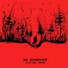 OZAN ATA CANANI – die demokratie (CD, LP Vinyl)