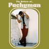 PACHYMAN – return of (LP Vinyl)
