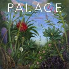 PALACE, life after cover