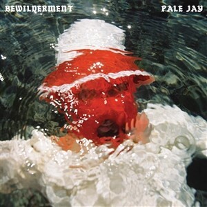 PALE JAY – bewilderment (CD, LP Vinyl)