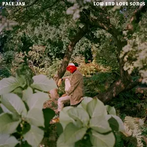 PALE JAY – low end love songs (CD)
