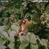 PALE JAY – low end love songs (CD)