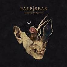 PALE SEAS – stargazing for beginners (CD, LP Vinyl)