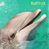 PALMIYELER – ben-hür (LP Vinyl)