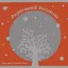 PAPIR MEETS ELECTRIC MOON – papermoon sessions (CD)