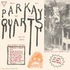 PARQUET COURTS (PARKAY QUARTS) – tally all things that you broke (LP Vinyl)