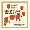 PARQUET COURTS – sunbathing animals (CD, LP Vinyl)