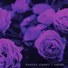 PASTEL GHOST – abyss (LP Vinyl)