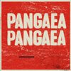 PATRICK RICHARDT – pangaea, pangaea (CD, LP Vinyl)