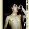 PAUL MAY – shot from both sides - photos of uk punkgigs 81-86 (Papier)