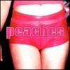 PEACHES – teaches of peaches (LP Vinyl)