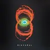 PEARL JAM – binaural (LP Vinyl)