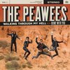 PEAWEES – walking through my hell (7" Vinyl)