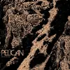 PELICAN – ascending (12" Vinyl)