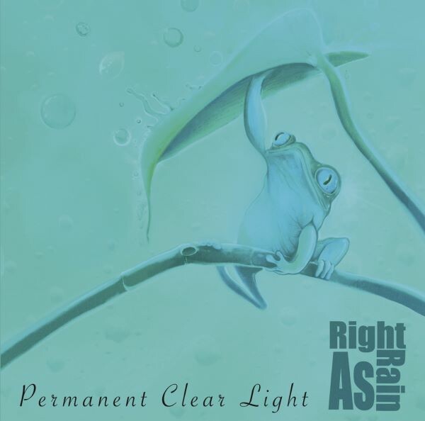 PERMANENT CLEAR LIGHT – right as rain (LP Vinyl)